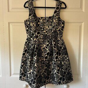 Black and Gold Cupcake Dress (Francescas) Size M